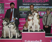 BIS parejas de la monogr&aacute;fica de  perros n&oacute;rdicos del 2004