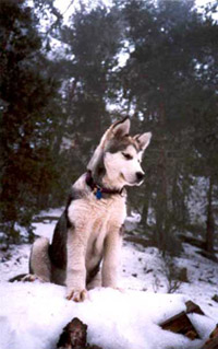 Netooka en su primera salida a la nieve