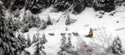Equipo de alaskan malamutes de travesía por el lago Christine en EEUU.