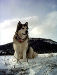 En la nieve
